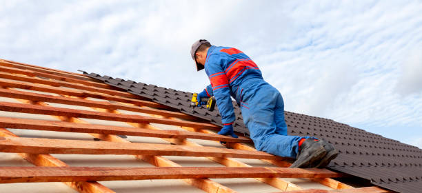 Best Gutter Installation and Repair  in Schriever, LA